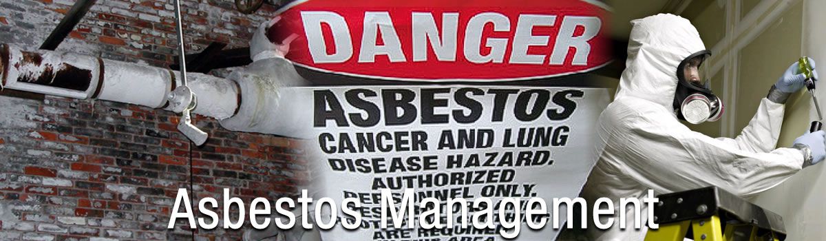 Asbestos Management