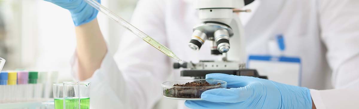 Remedial Investigation