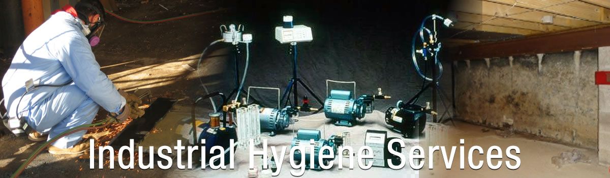INDUSTRIAL HYGIENE SERVICES